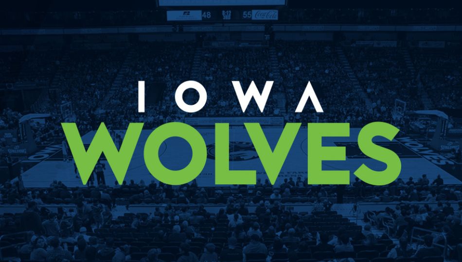 Iowa Wolves Basketball Indigo Living